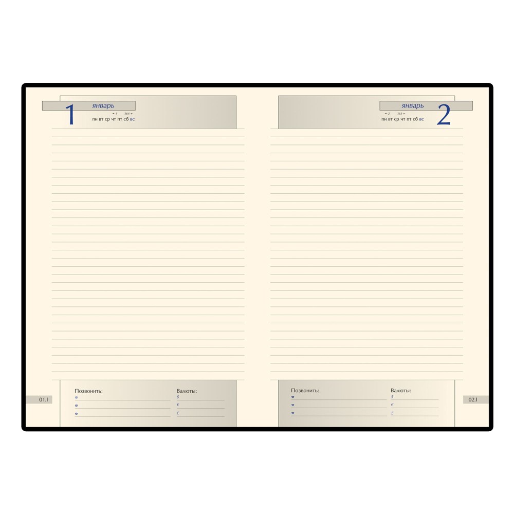 Подарочный набор: Шариковая ручка Parker Sonnet Core K528, Matte Black GT +  Ежедневник Premium, Black GS